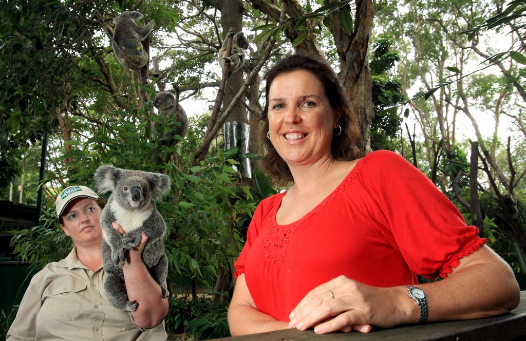 Team Koala president Jenny Hayes hopes landholders will support Tweed Shire Council's Koala Connections Project Team Koala president Jenny Hayes hopes landholders will support Tweed Shire Council's Koala Connections Project